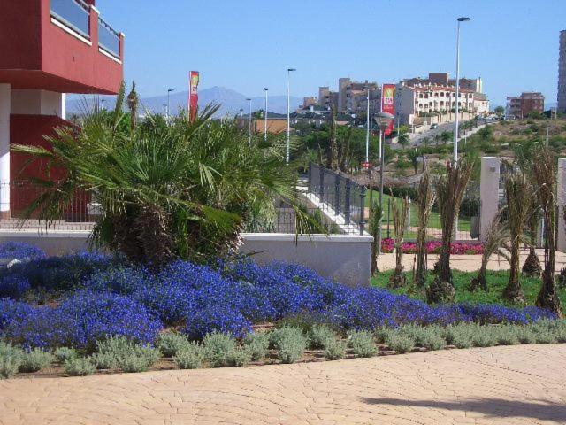 Arenales Playa By Mar Holidays Arenales del Sol Bagian luar foto